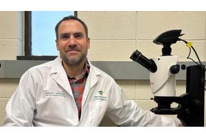 Wayne State University Research Sheds Light on Key Cell Biological Processes, Paving the Way for Novel Disease Treatments