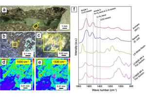 Examining the Possibility of Martian Life: Insights and Discoveries