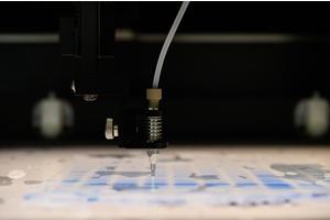 Collaborative Efforts of Sulfur Bacteria Enhance Organic Matter Decomposition in Seabed Ecosystems