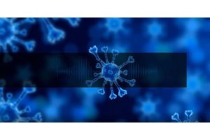 Revolutionizing Immunology: AI-Powered Diagnostic Innovations