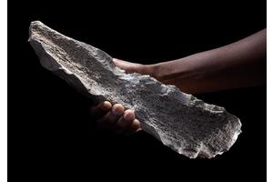 Ancient Bone Tool Workshop Reveals Insights into Early Abstract Reasoning in Human Ancestors