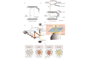 Multiphoton Polymerization: A Breakthrough Technology for Advancing Precision Medicine