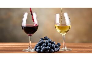 Red Wine vs. White Wine: Unveiling the Cancer Risks in the Health Debate