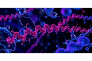 LKB1: A Double-Edged Sword in Tumorigenesis