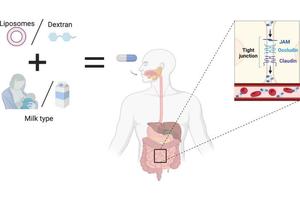 Savor the Change: The Evolution of Drug Delivery from Shots to Sips