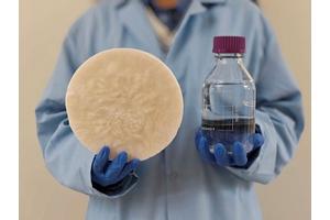 Transforming Waste to Water: How Everyday Biomass Converts Air into Drinking Water