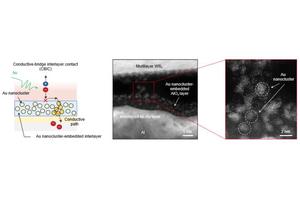 KIST Unveils Advanced High-Performance Sensor Utilizing Two-Dimensional Semiconductor Technology