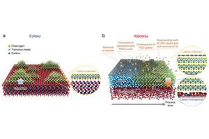 SNU Researchers Unveil ‘Hypotaxy’: A Breakthrough Synthesis Technology for Single Crystal 2D Semiconductors Aiming to Boost Next-Gen Commercialization