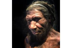 Unlocking the Mysteries of Neanderthal Origins Through Inner Ear Insights