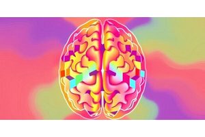 Unlocking the Brain’s Spatial Blueprint: New Insights into How We Encode Information