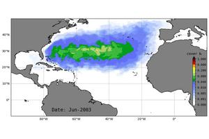 New USF Study Uncovers Unexpected Factors Behind Caribbean Sargassum Blooms
