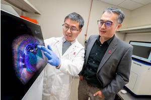 Spotiphy’s Integrative Analysis Tool Transforms Spatial RNA Sequencing into Cutting-Edge Imaging Technology