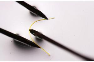 Unveiling the Elasticity Secrets of Flexible Crystals