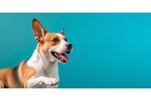 Breakthrough Study Identifies Canine Obesity Gene with Implications for Human Weight Research