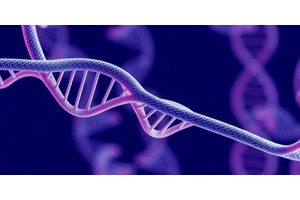 Fifty Years Post-Asilomar: Trends in Biotechnology Examines the Evolution of Genetic Modification Regulations