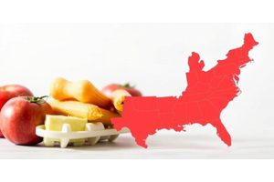 Exploring the Link Between Food Insecurity and Cardiovascular Disease Incidence in Black and White Individuals in the U.S.