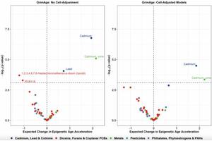 Study Reveals Environmental Pollutants Accelerate Aging and Health Risks in U.S. Adults