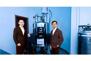 PolyU Reveals Advanced Zeolite Structures, Paving the Way for Next-Gen Catalysts in Petrochemical and Renewable Energy Sectors