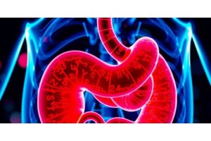 Research Reveals Synergistic Effects of Chronic Stress and Obesity on Pancreatic Cancer Progression