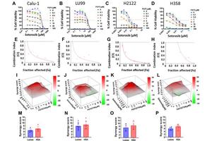 Revolutionary Combination Therapy Overcomes Drug Resistance in Lung Cancer with Frequently Occurring KRAS Mutation