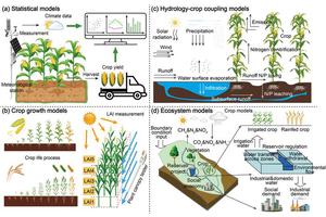 Cutting-Edge Developments in Regional Crop Growth Models and Processes