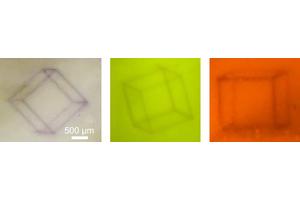 Revolutionary Photochromic Glass Unveils Ability to Store Rewritable 3D Patterns