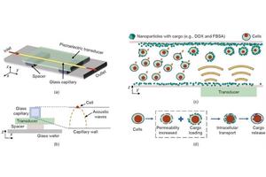 Novel Acoustofluidics Technique Enhances Intracellular Nanoparticle Delivery