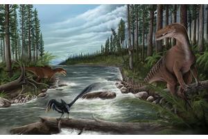 Discovery of New Australian Dinosaurs and the World’s Oldest Megaraptorid Fossils
