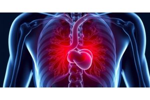 Prostate Cancer Is Not a Death Sentence, New Study Reveals