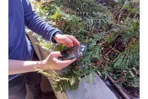 Leveraging Social Media to Monitor Species Amid Climate Change