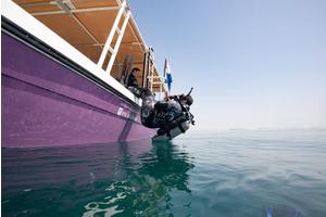 NYU Abu Dhabi Study Reveals Coral Reef Fish Show Remarkable Adaptability to Increasing Ocean Temperatures