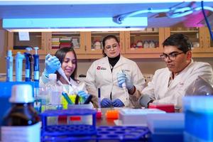Scientists Uncover Possible Connection Between Retinal Alterations and Alzheimer’s Disease