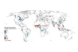 Study Reveals Urgent Threat to Global Food Crops as Rising Temperatures Accelerate