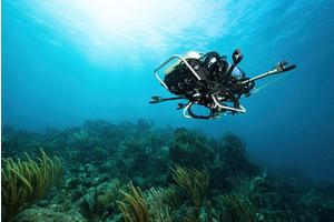 Underwater Harmony: Neural Networks Decode Coral Reef Sounds