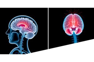 Linking Diet and Waist-to-Hip Ratio to Brain Connectivity and Memory in Aging