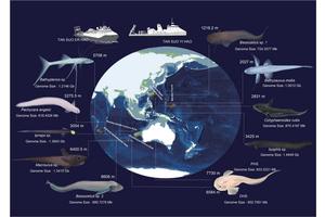 Scientists Uncover Evolutionary Wonders of Earth’s Deepest Oceans