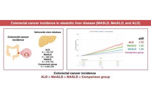 Unraveling the Connection Between Colorectal Cancer Risk and Fatty Liver Disease