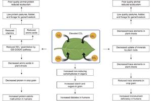 Climbing CO2 Levels: Effects on Crop Nutrition and Global Food Security