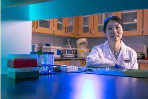 E. (Sarah) Du, Ph.D., Elevated to Senior Member of the National Academy of Inventors