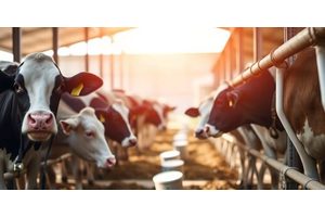Revolutionary Technical Guidelines Set to Accelerate Adoption of Methane-Reducing Feed Additives in Dairy and Livestock