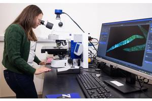 UTA Maintains Elite Research Standing Among U.S. Institutions