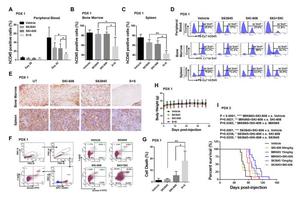 Breakthrough Combination Therapy Significantly Boosts Leukemia Cell Death