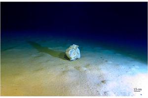 Marine Litter Reaches the Deepest Depths of the Mediterranean Sea