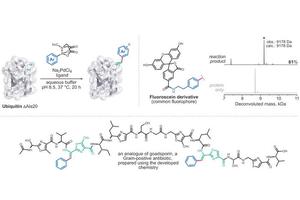 Advancements in Precision Engineering of Peptides and Proteins