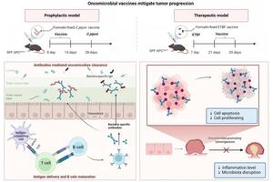 Oncomicrobial Vaccines Combat Tumor Growth by Specifically Targeting Oncomicrobes in Mice