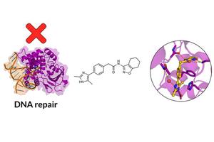 Breakthrough Method Scans 10 Sextillion Drug Molecules for Discoveries