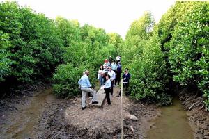 Urgent Call for Reforming Vietnam’s Low-Emission Food Systems