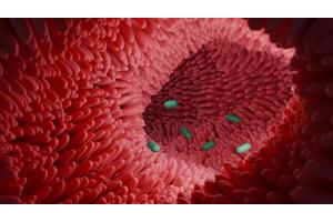 Intestinal Microbiota: A Key Player in Colon Health