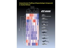 Exploring the Habitat Indicators: Profiles of 313 Organohalogen Compounds in 11 Toothed Whale Species