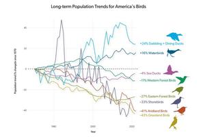 New Report Reveals Disturbing Decline in US Bird Populations